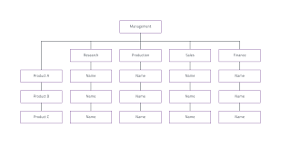 Matrix Organization Chart Template Lucidchart
