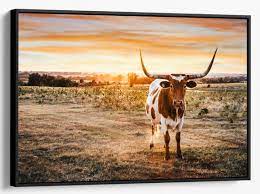 Longhorn Art Cow Wall Art Texas