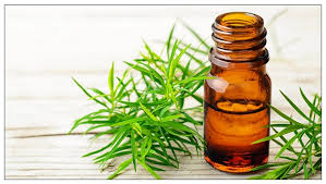 tea tree oil benefits uses 24