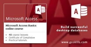 Microsoft Access Online Course Basic Training Goskills