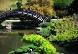 Japanese Garden Bridge Free Stock Photo