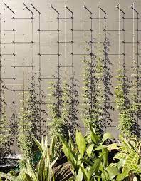 Green Facade Garden Wall Designs