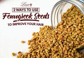 fenugreek seeds to improve your hair