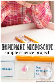easy homemade microscope for kids