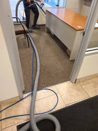 carpet cleaning delta pro clean