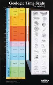 ward s geologic time scale charts
