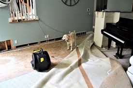 professional carpet repair jeff s