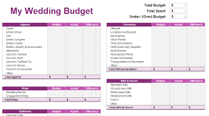 wedding budget spreadsheet young
