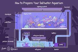 how to set up a r aquarium