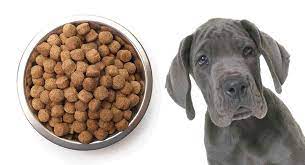 For many dog breeds, puppy food is commonly used to support the accelerated rate of growth that they experience as puppies. Best Food For A Great Dane Puppy Help Him Grow Big And Strong