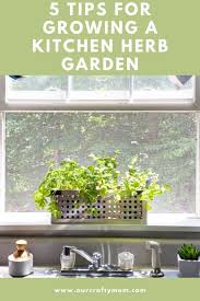 Here are ten great herb garden ideas to get you started enjoying culinary herbs in the home garden. 5 Simple Tips For Growing A Diy Kitchen Herb Garden