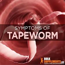 taeniasis tapeworm causes symptoms