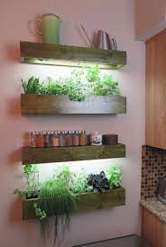 Indoor Herb Garden Herbs Indoors