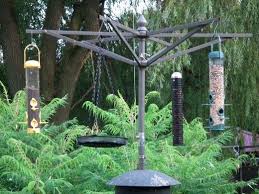 Bird Feeder Poles Bird Feeding Station