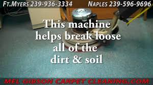 americlean cleaning fort myers naples