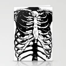 Closeup of female hand in doctors coat pointing or holding rib cage lateral bone human anatomy medicine healthcare and advertisement concept vector illustration. Skeleton Ribs Skeletons Rib Cage Human Anatomy Black And White Stationery Cards By Eclecticatheart Society6