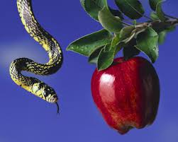 Search For Bible Truths: How Could the Snake in the Garden of Eden Talk  When Snakes Don't Have Vocal Cords?