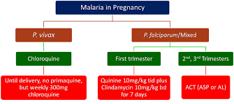 Treatment Of Malaria Malaria Site