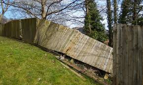 Shared Garden Fence