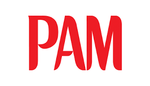 Pam stands for pluggable authentication modules and is used to perform various types of tasks involving authenticaction, authorization and some modification (for example password change). Pam Cooking Spray