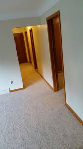 professional carpet installer