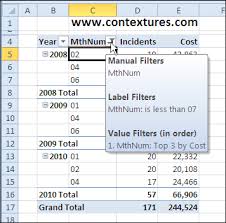 More Than One Filter On Pivot Table Field Contextures Blog