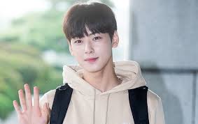 I can't wait to see this list become long, and you successful~. Cha Eun Woo Brother Donghwi Korean Idol