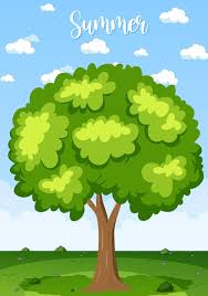 summer tree images free on