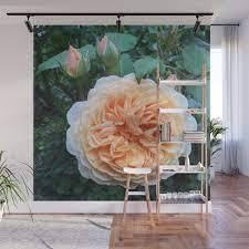 Cotswold Garden Rose Wall Mural By