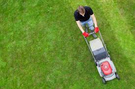 Lawn Mowing Services For Ogden Ut