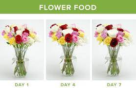how to make flowers last longer 9