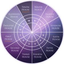 12 Astrology Houses Planets In Houses