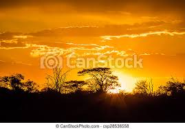 Find the perfect african landscape sunset stock photos and editorial news pictures from getty images. African Sunset Beautiful African Landscape At Sunset With Branches Of Trees In The Background Isimangaliso Wetland Park Canstock