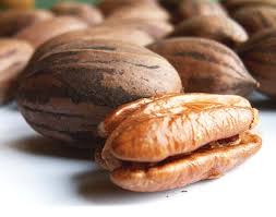 Brazil nuts are the seeds of brazil nut tree (bertholletia excelsa), a tree native to the amazon forests of bolivia, brazil and peru. 8 Nut Trees That Are Good To Grow In New Zealand