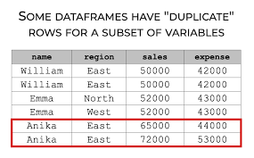 pandas drop duplicates explained