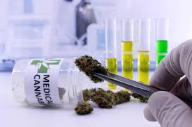 Maybe you would like to learn more about one of these? Medical Vs Recreational Cannabis In Las Vegas Green Cannabis Co