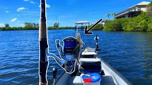 easiest way to catch fish in tampa bay