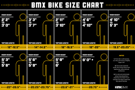 Bmx Bike Diagram Cruiser Bicycle