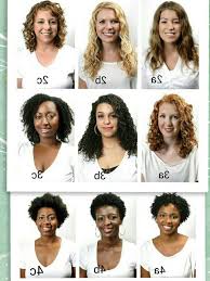 15 Natural Hair Type Chart Business Statement