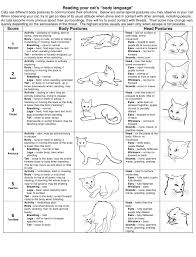 Cats Body Language Chart Download Printable Pdf