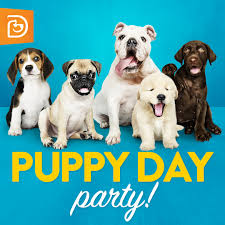 A celebration of cuteness national puppy day, puppy day commemorates the delight that puppies could bring to our houses and lives, however is a terrific possibility to embrace an orphan or underprivileged dog and to provide. National Puppy Day Highland Village