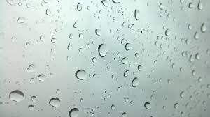 rain water drops rain drops rainy