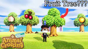 fruit tree and a regular tree