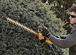 best cordless electric hedge trimmers