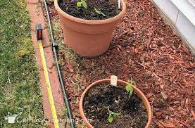 Drip Irrigation System For Potted Plants