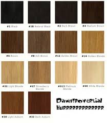 Dirty Blonde Hair Color Chart Classic Ombre Full Head Clip