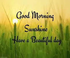 Life is a mixture of sunshine and rain, teardrops and laughter, pleasure and pain. Good Morning Sun Quotes Quotes Drinkquote Com