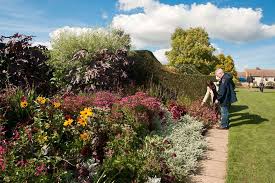 rhs flower show hyde hall thursday