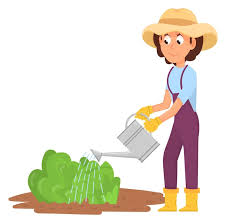 Woman Watering Green Plants Cartoon