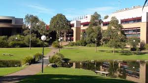 Bachelor of Commerce  Marketing  BCom Mark  Degree   UNIVERSITY OF     Illawarra Mercury     Sustaining    